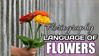 SYMBOLISM OF FLOWERS  Floriography  Language of Flowers [upl. by Madoc]