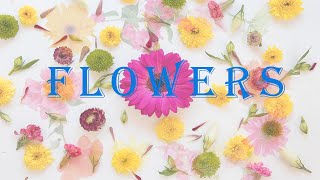 Flowers Name flowers name with pictures flowers name with spelling flowers name Chetankidsstudy [upl. by Etterual112]