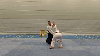 Aikido  Kaitennage uchi Variationen [upl. by Kruter]