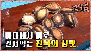 극한직업  Extreme JOB전복 양식장1부003 [upl. by Umeh]