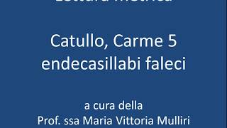 Catullo Carme 5  Scansione e lettura metrica [upl. by Acirrehs]