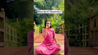 Blocked nostrils try this  blocked nostrilssneezing [upl. by Muns]