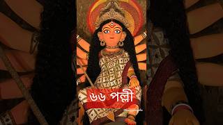 ৬৬ পল্লী  66 Pally  Sunrise মশলার যাদু দিয়ে  krazzykinfolksbysabornisaha ytshorts durgapuja [upl. by Norud784]