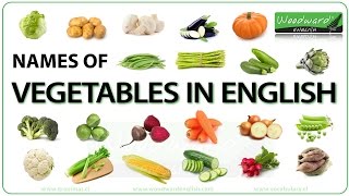 Vegetables in English  Names of Vegetables  English Vocabulary [upl. by Kilgore743]