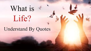 What is Life Understand By These 12 True Meaningful Life Quotes [upl. by Nirroc]