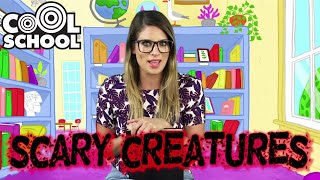 SPOOKY CREATURES 🎃 Ms Booksys Scary NOT Scary Stories for Kids 👹 [upl. by Dareece598]