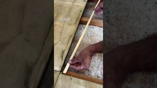 TampG Flooring Installation shorts youtubeshorts woodworking [upl. by Johanna]