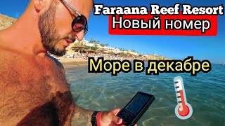 Египет 🇪🇬 НОВЫЙ НОМЕР Faraana Reef Resort 4 Шарм Эль Шейх Ресторан на пляже подводный мир [upl. by Tronna]