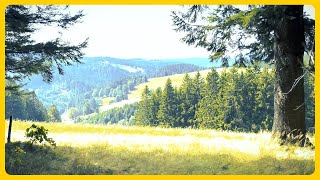 Westweg E8  Schwarzwald schwarzwald westweg wandern aussicht outdoorscape [upl. by Meek]