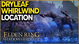 Dryleaf Whirlwind Ash of War Location Elden Ring DLC [upl. by Ober551]