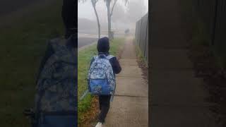 Going to school on a foggy day part1 [upl. by Anahoj]