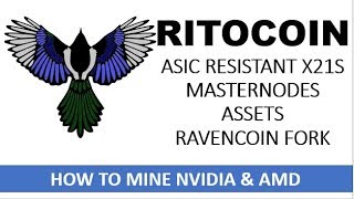 Ritocoin How to Mine NVIDIA and AMD Ravencoin Fork X21s [upl. by Sharona]