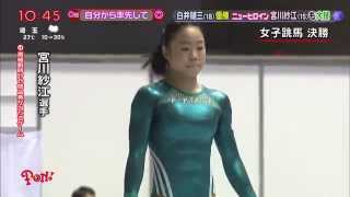 宮川紗江 Sae Miyakawa チュソビチナ 2015年6月21日 Japan 跳馬 女子 体操 Womens Vault chusovitina skill [upl. by Jacobsen]