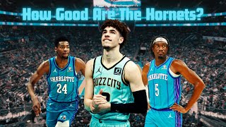 Why YOU Should Be Excited About The Hornets [upl. by Bennion]