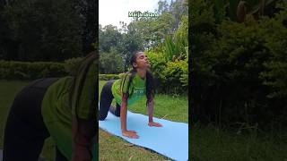 Marjariasana yoga spinehealth backstrength youtubeshorts dailymotivation trend harekrishna [upl. by Ihp]