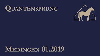 Quantensprung  Hengstschau 2019 [upl. by Aloz]