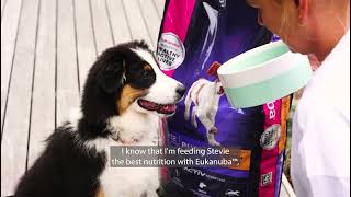 Eukanuba Puppy Food Review [upl. by Aynekal]