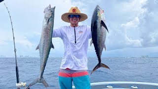 Deep Sea Kingfish and Tuna Catch n Cook Ft Lauderdale Fishing [upl. by Theola242]