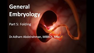 General Embryology part V Folding of the embryo [upl. by Merl644]