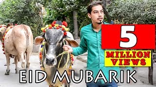 Bakra Eid Mubarik 2016 l Peshori vines Official [upl. by Ahtekahs]