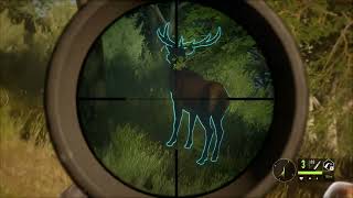 Red deer hunting theHunter Call of the Wild [upl. by Corbet]