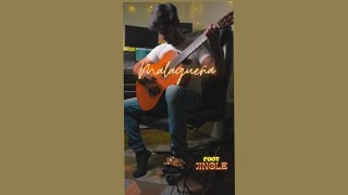 Malagueña with Foot Jingle  Flamenco Guitar  Ayush Sharma [upl. by Arriat1]