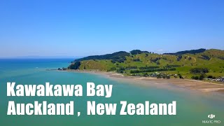 Find the cockles from the air EP2  Kawakawa Bay New Zealand  DJI MAVIC Pro [upl. by Ahsatsana]