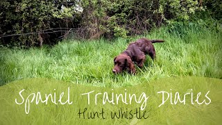 Gundog Training  Hunt Whistle [upl. by Nohpets240]