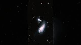 Zoomin on NGC 4485 space universe science astrophysics astronomy astrophotography shorts [upl. by Sidonius69]