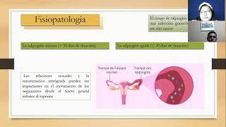 Salpingitis Fisiopatología [upl. by Avik]