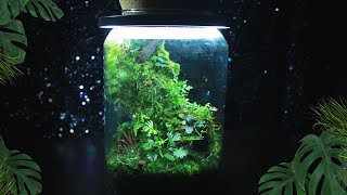 Rare Moss Terrarium Build  Relaxing ASMR  How To Make A Terrarium  Electra Snow [upl. by Eelarual125]