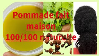 CHEUVEUX Pommade fait maison cresson girofle pour des cheveux plus long et bien hydratés [upl. by Merideth]