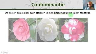 Bio  Intermediair en Codominant  bloedgroepen  Erfelijkheid 3 [upl. by Airtemak]