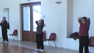 Exemple dune séance gym avec seniors Physical Fitness [upl. by Didier]