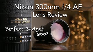 Nikon 300mm f4 AF ED Lens Review  sample images  The perfect budget 300mm that delivers results [upl. by Pickard]