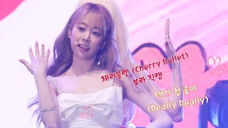 직캠 체리블렛 Cherry Bullet 보라  네가 참 좋아 Really Really 220418 419혁명 樂 뮤직페스티벌 By 애니닷 [upl. by Marras]