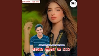 Aslam Singer SR 7171 [upl. by Natloz]