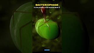 Bacteria vs Virus vs Bacteriophage 🗿👽 shorts scienceofinfinity science [upl. by Crowley]