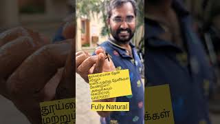 தேனீக்களிடம் எப்படி பழகுவதுhow to get along with HoneybeesRock BeesFriends with Bees and others [upl. by Netsrijk877]