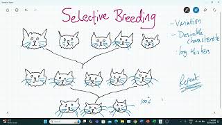 Selective Breeding [upl. by Haela]