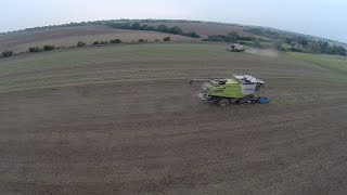 Borage Harvesting 2014 [upl. by Iffar398]