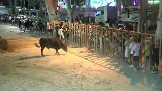 ENCIERRO DE NUIT MANADE LAMISTA AU CHAMP DE FOIRE DU LUNDI 24 JUILLET 2023 [upl. by Annoet]