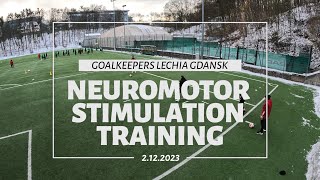 Neuromotor stimulation training Goalkeepers Lechia Gdańsk [upl. by Naeruat650]