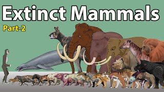 Massive Extinct Mammals Size Comparison 2024  Extinct Mammals Size Comparison 2024 part2 [upl. by Merv]