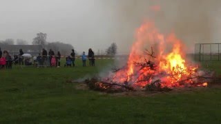 Jaarlijkse kerstboomverbrandingen WestBrabant [upl. by Cirderf902]