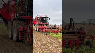 Working in the field with the Vervaet Beet Harvester [upl. by Ahsenav]