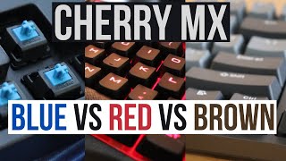 Cherry MX Red vs Brown vs Blue Mechanical Switch Sound Comparison [upl. by Capps]