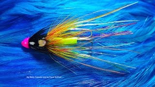 Tying the BB Cascade Salmon Fly by Davie McPhail [upl. by Yror933]