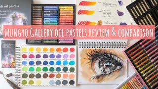 Mungyo Gallery Oil Pastel Swatch Review Painting amp Comparison with Pentel Paul Rubens amp Sennelier [upl. by Ahsinned]