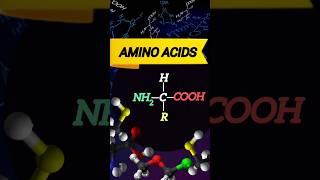 Biomolecules  Amino acids  NEET  Class 11  ncert [upl. by Shara]